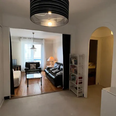 T3 Confortable Centre Aix-les-bains, Parking, Animaux Adm. - Fr-1-555-81 公寓 艾克斯莱班