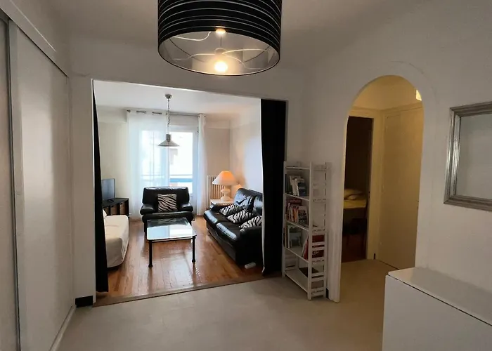 T3 Confortable Centre Aix-les-bains, Parking, Animaux Adm. - Fr-1-555-81 Apartment Aix-les-Bains